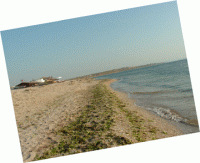 Vama Veche 2004